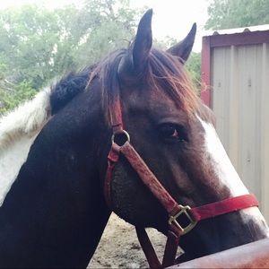 Meet your Posher, Recio