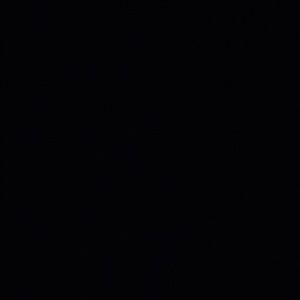 Meet your Posher, Ebonny