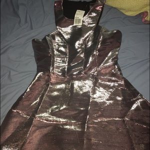 Forever 21 Metallic Silver/Pink Dress