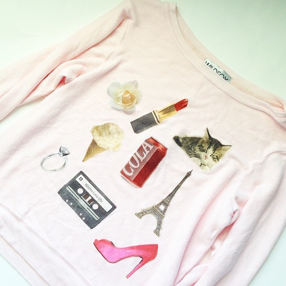 Wildfox Sweaters - LAST CHANCE❗️Wildfox "Favorite Things" Sweatshirt