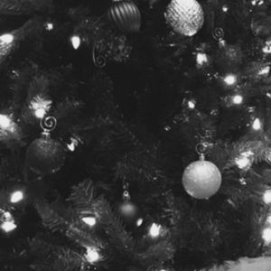 Meet your Posher, Linh