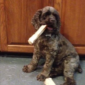 Meet your Posher, Bethel