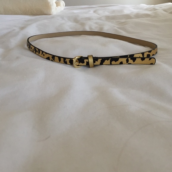 LOFT Accessories - Loft belt NWOT