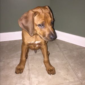 Meet your Posher, Haley