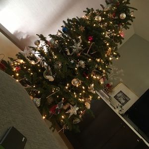 Meet your Posher, Sammy