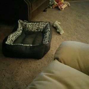 Meet your Posher, Carol