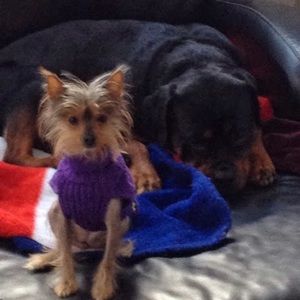 Meet your Posher, Ericka