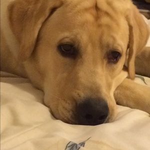 Meet your Posher, Larissa