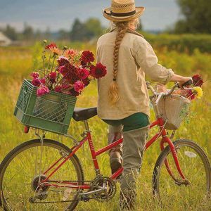 Meet your Posher, Deirdre