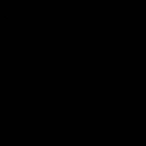 Meet your Posher, Caitlyn