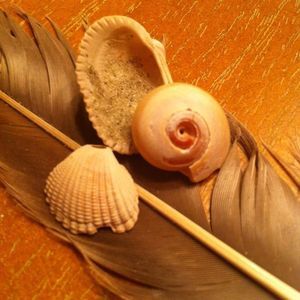 Meet your Posher, Jan