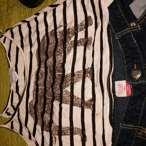 Striped Elephant Print Crop Top