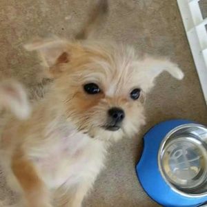 Meet your Posher, Muniz