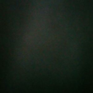 Meet your Posher, Celeste