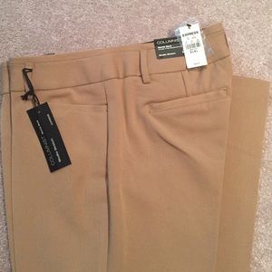 Express Columnist Pants