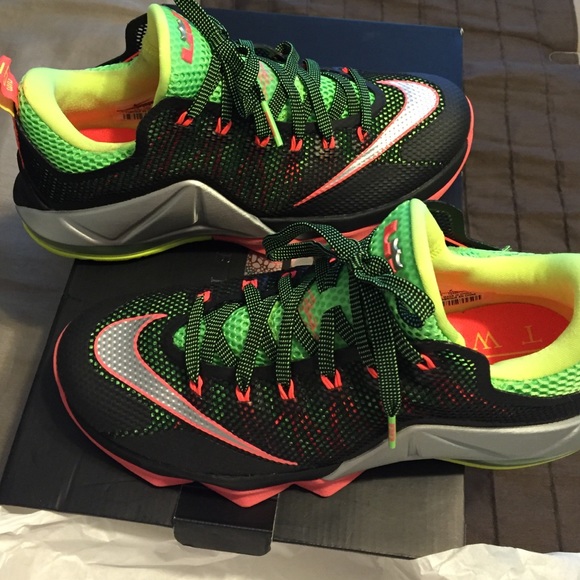 BRAND NEW LeBron XII Low