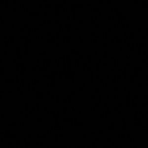 Meet your Posher, Tiara