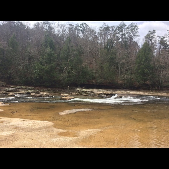 Meet your Posher, Jessie - Picture 1 of 1