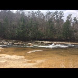 Meet your Posher, Jessie