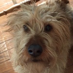 Meet your Posher, Morgan