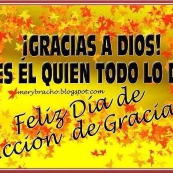 Meet your Posher, Judith