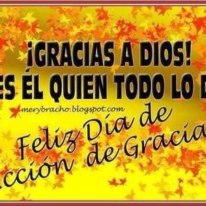 Meet your Posher, Judith