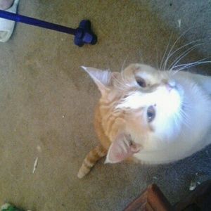 Meet your Posher, Jo