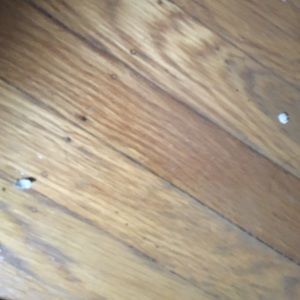 Meet your Posher, Rutherford