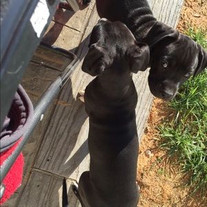 Meet your Posher, Anthony