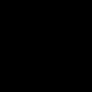 Meet your Posher, Sheila