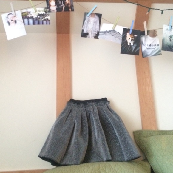Silvery Black Skirt