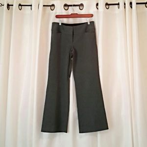 Express Flare Editor Pants