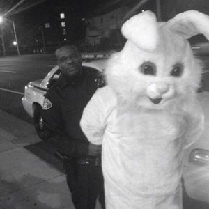 Meet your Posher, Lily