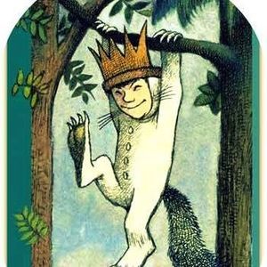 Meet your Posher, Kyley