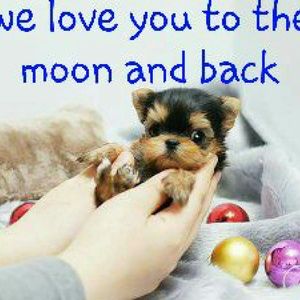 Meet your Posher, Melanie