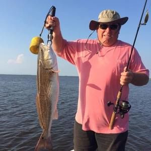 Meet your Posher, Bill