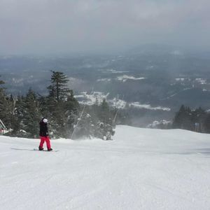 Meet your Posher, Victoria