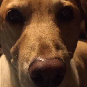 Meet your Posher, Margaret