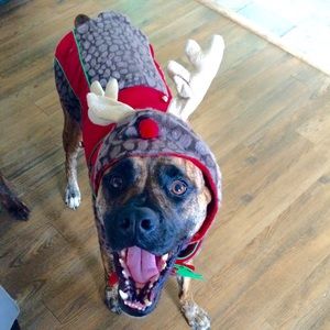 Meet your Posher, Abbie