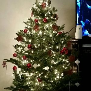 Meet your Posher, Toni