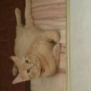 Meet your Posher, Jalyn