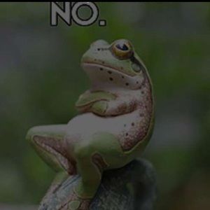 Meet your Posher, Lana