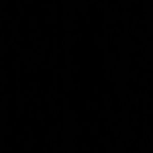 Meet your Posher, Mimi