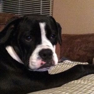 Meet your Posher, Jill