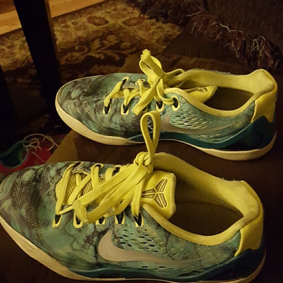 Lebrons - Picture 2 of 4