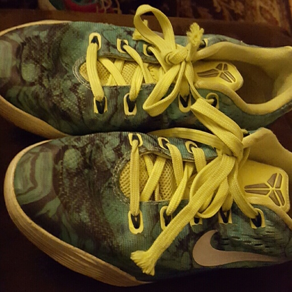 Lebrons - Picture 4 of 4