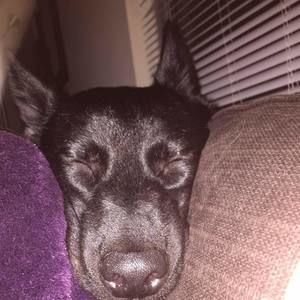 Meet your Posher, Chrissy