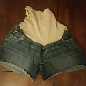 Maternity Shorts