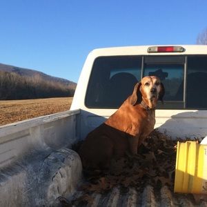 Meet your Posher, Haley