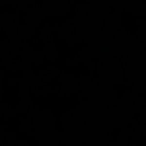 Meet your Posher, Aya